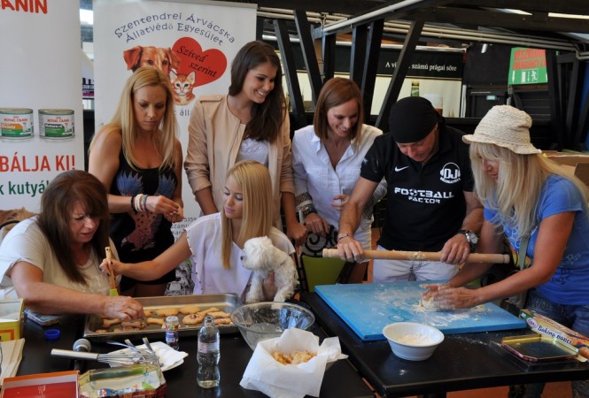 A fehér kutyák a Zöldbe mennek - Kikapcsoló -  - árvácska menhely szentendre, white dog party, zöld pardon, 