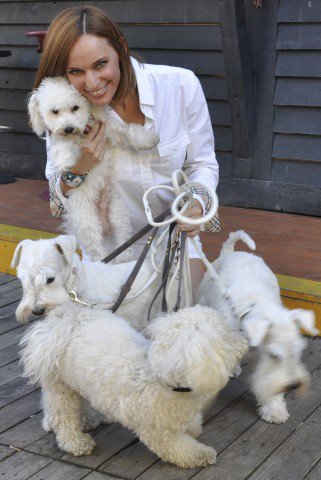 A fehér kutyák a Zöldbe mennek - Kikapcsoló -  - árvácska menhely szentendre, white dog party, zöld pardon, 