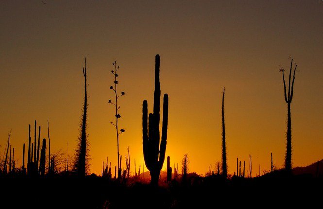 Mexikó arcai -  -  - érdekességek, Mexikó, utazás, 