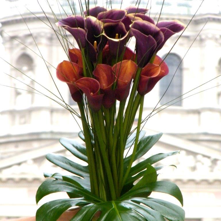 Az ősz egy második tavasz, mikor minden levél egy virág -  -  - csokor, vénasszonyok nyara, virág,