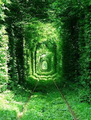 Ahol a kívánságok valóra válnak - STYLELIFE - Utazás - szerelemalagút, ukrajna, utazás, 