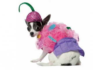 A legszellemesebb jelmezek a szellemek éjszakájára -  -  - halloween jelmezek, 