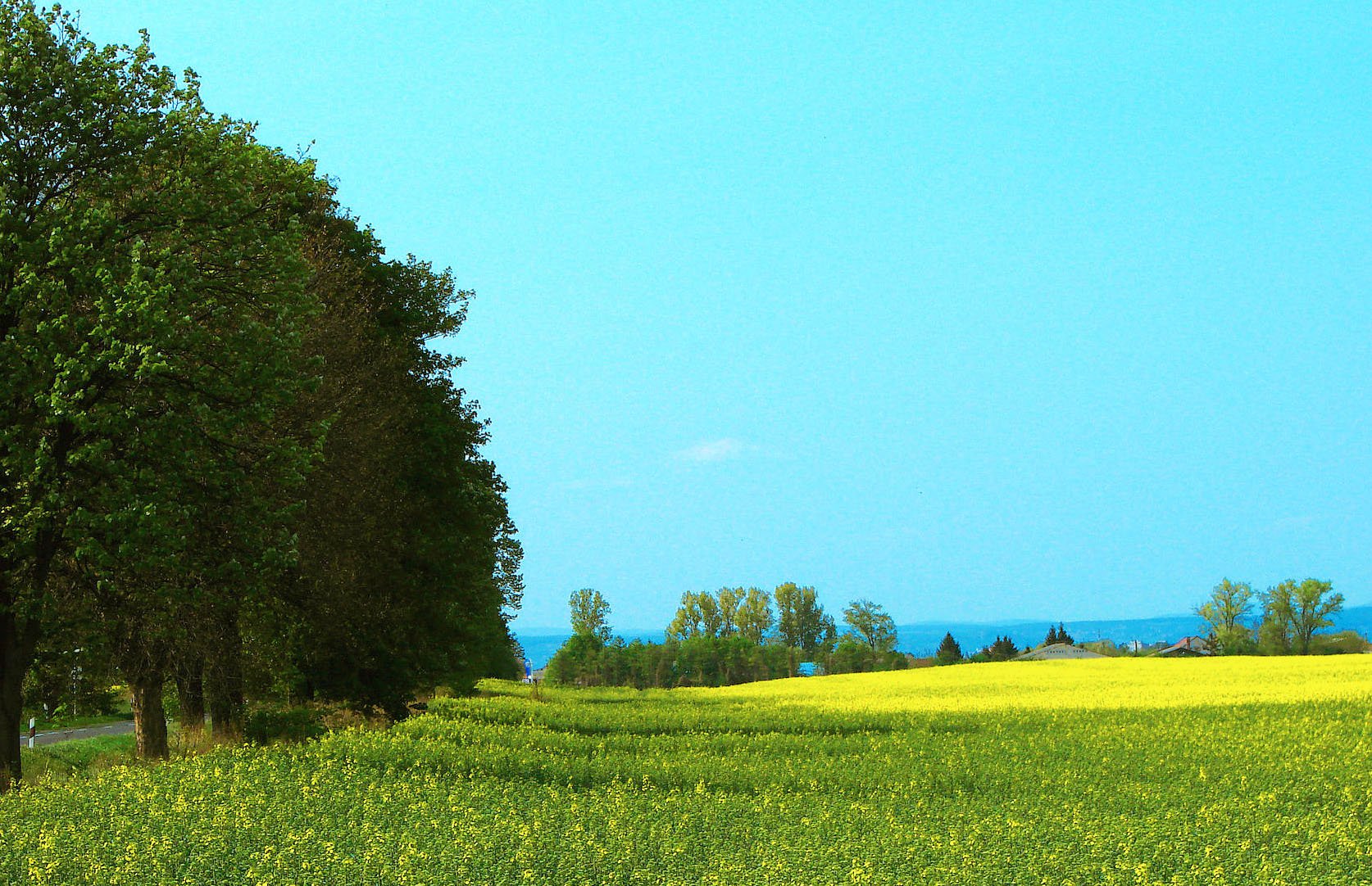 Ahova a madár is pihenni jár - Élménypark a Zselic szívében -  -  - érdekesség, somogy, turisztika, utazás, 
