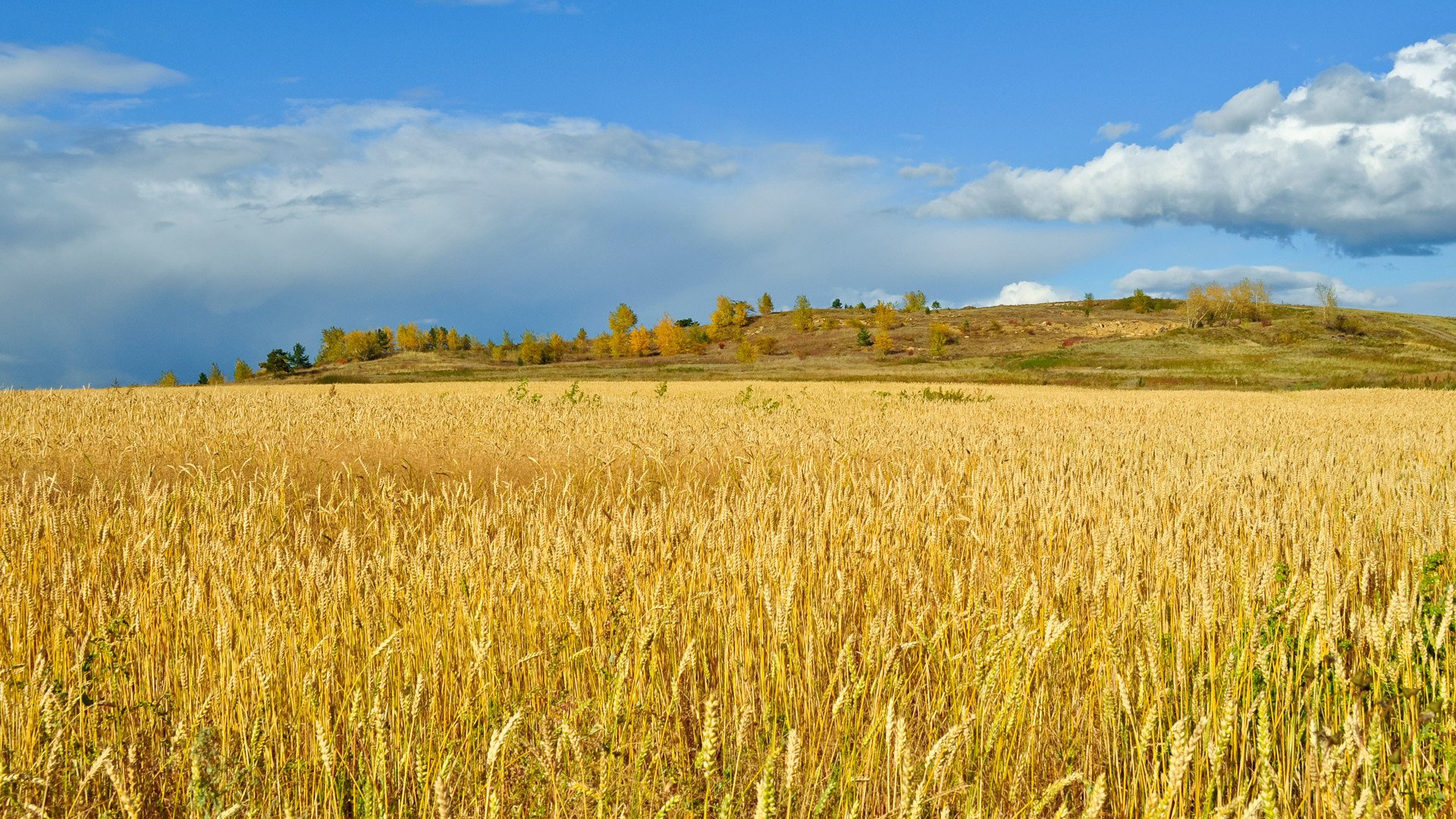Harminchárom milliárdos beruházás Visontán - Ingatlanhírek -  - beruházás, ingatlanhirek, logisztika,