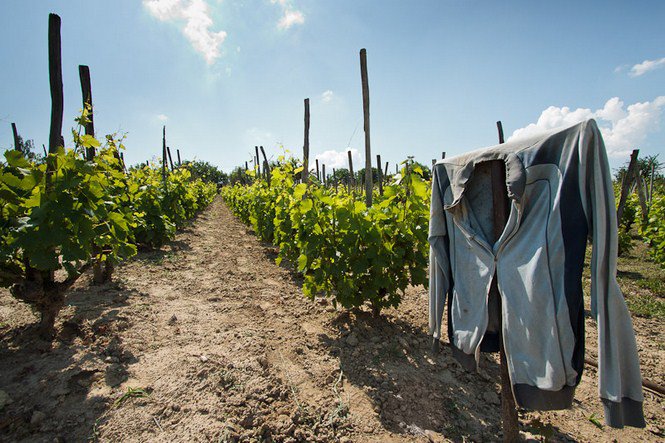 A víz nyugalma -  -  - érdekességek, fényképépesz, Istvánffy Zoltán, 