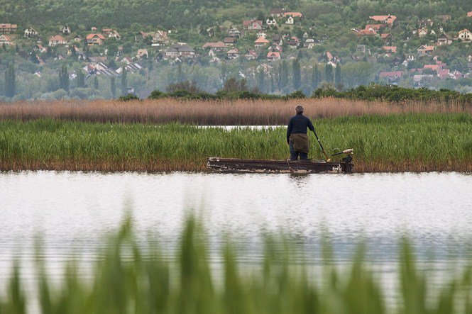 A víz nyugalma -  -  - érdekességek, fényképépesz, Istvánffy Zoltán, 