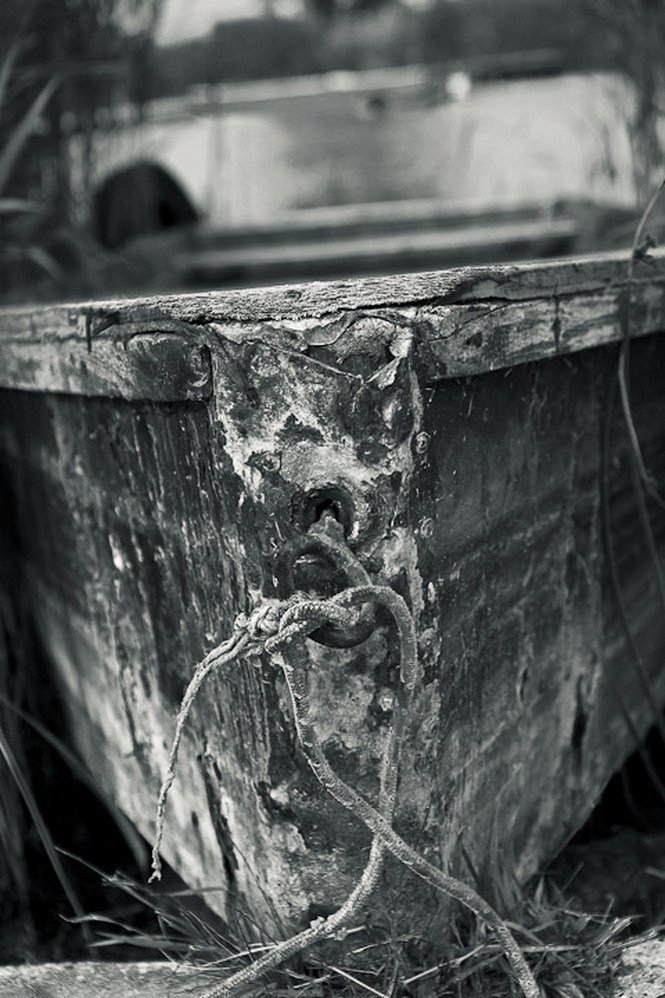 A víz nyugalma -  -  - érdekességek, fényképépesz, Istvánffy Zoltán, 