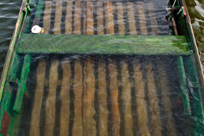 A víz nyugalma -  -  - érdekességek, fényképépesz, Istvánffy Zoltán, 