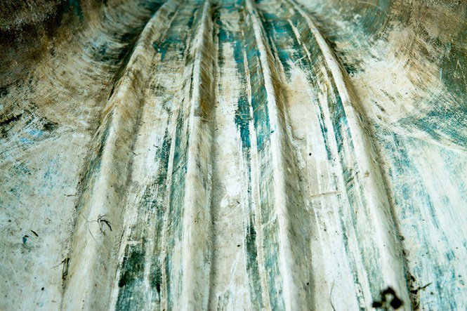 A víz nyugalma -  -  - érdekességek, fényképépesz, Istvánffy Zoltán, 