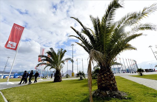 Drága Olimpia! -  -  - sochi 2014, sochi olympics, szocsi, szocsi téli olimpia, téli olimpia, 