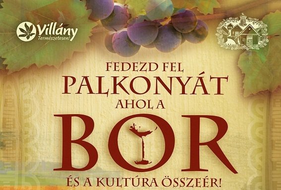 Pünkösdi nyitott pincék Palkonyán -  -  - bor, Palkonya, pünkösd, 