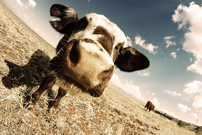 Grant Legassick - Dél-Afrika értő fotósa - Utazás -  - Dél-Afrika, érdekességek, fényképészet, 