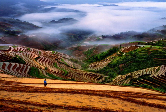 Ismerd meg a rizst -  -  - barna rizs, riszkészítés, rizs, rizs a táplálkozásban, rizs értékei, 