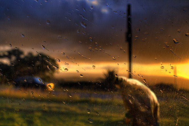 Grant Legassick - Dél-Afrika értő fotósa - Utazás -  - Dél-Afrika, érdekességek, fényképészet, 