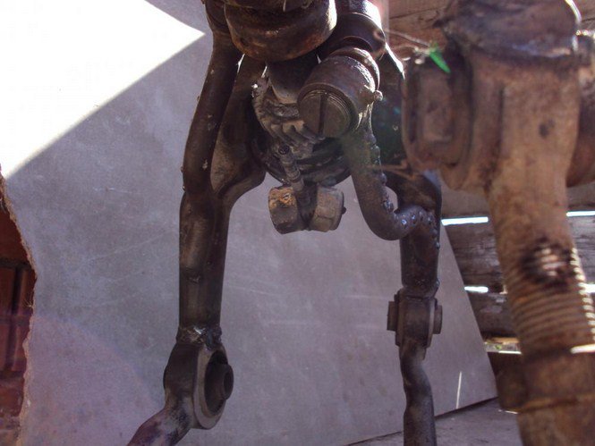 Ördögi pokolmacska Oroszországból -  -  - dizájn, érdekességek, 