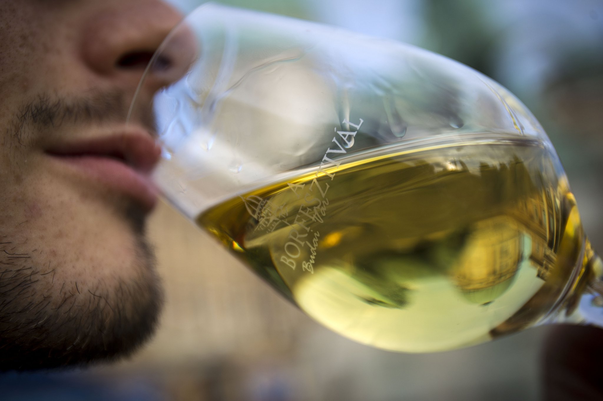 Vigyázz! Kész! Bor! - Kikapcsoló -  - borfesztivál,