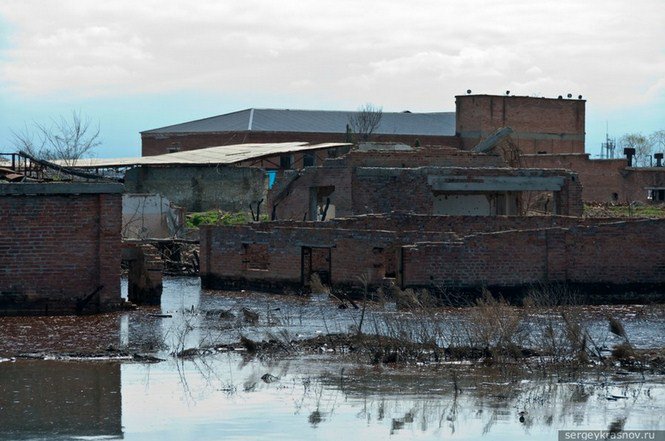 Egy nap Groznijban - Utazás -  - érdekességek, Groznij, Oroszország, 