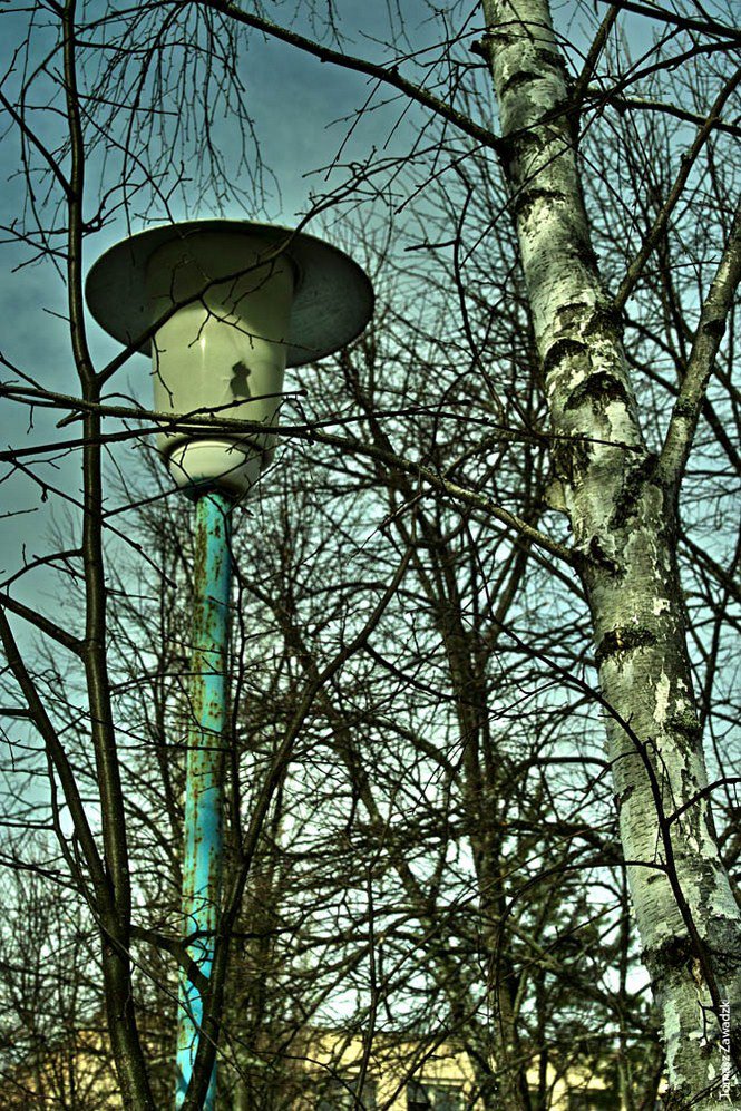 Pripjaty újra -  -  - Csernobil, érdekességek, Pripjaty, 