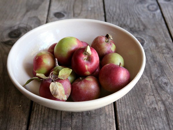 Wonut, az új gasztro trend - STYLELIFE -  - alma, fánk, gasztro, gasztronómia, gofri, recept, wonut, 