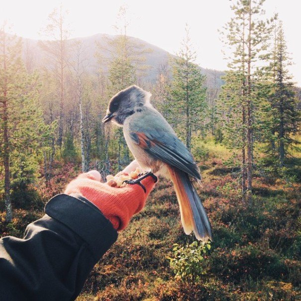 Házasok a világ körül - Utazás -  - fotók, kaland, szerelem, utazás, 