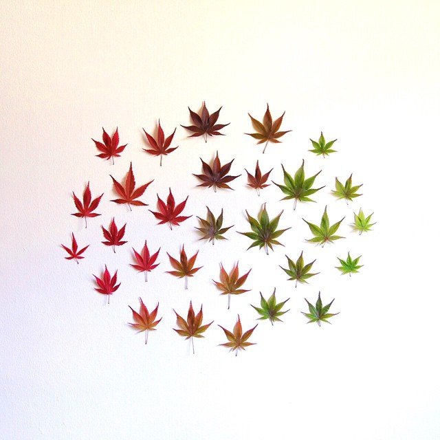 Hétköznapi tárgyak, különös köntösben - STYLELIFE -  - érdekesség, fénykép, fotók, fotózás, művészet, 