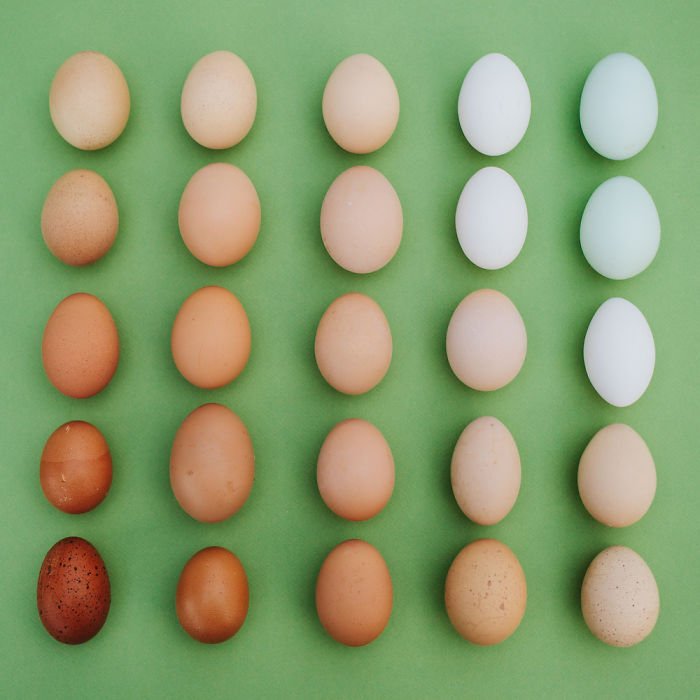 Hétköznapi tárgyak, különös köntösben - STYLELIFE -  - érdekesség, fénykép, fotók, fotózás, művészet, 