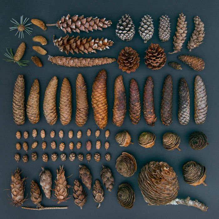 Hétköznapi tárgyak, különös köntösben - STYLELIFE -  - érdekesség, fénykép, fotók, fotózás, művészet, 