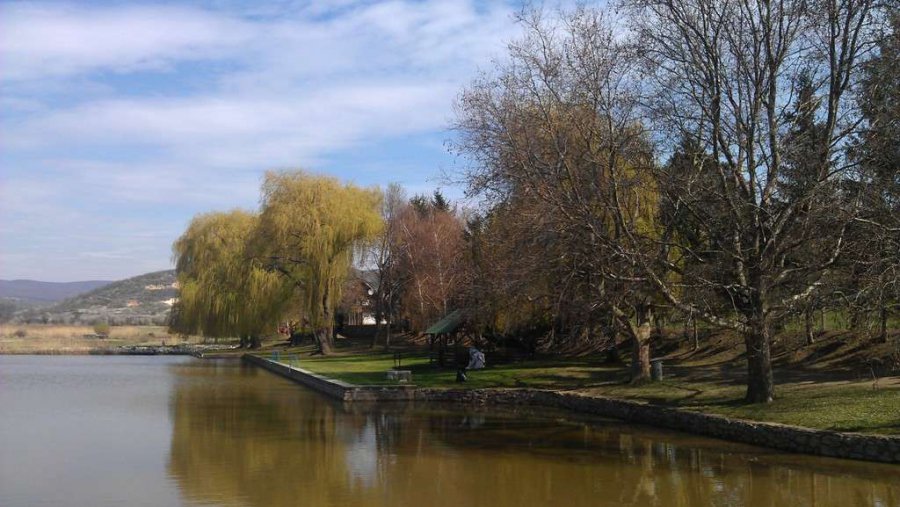 Bor, mámor, Mád - Egészség - Kikapcsoló - bor, coaching, gasztronómia, mád, tábor, 