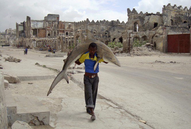 World Press Photo 2011 – a  megrázó képeket díjazták -  -  - képek, kiállítás, kultúra, sajtófoto, World Press, 