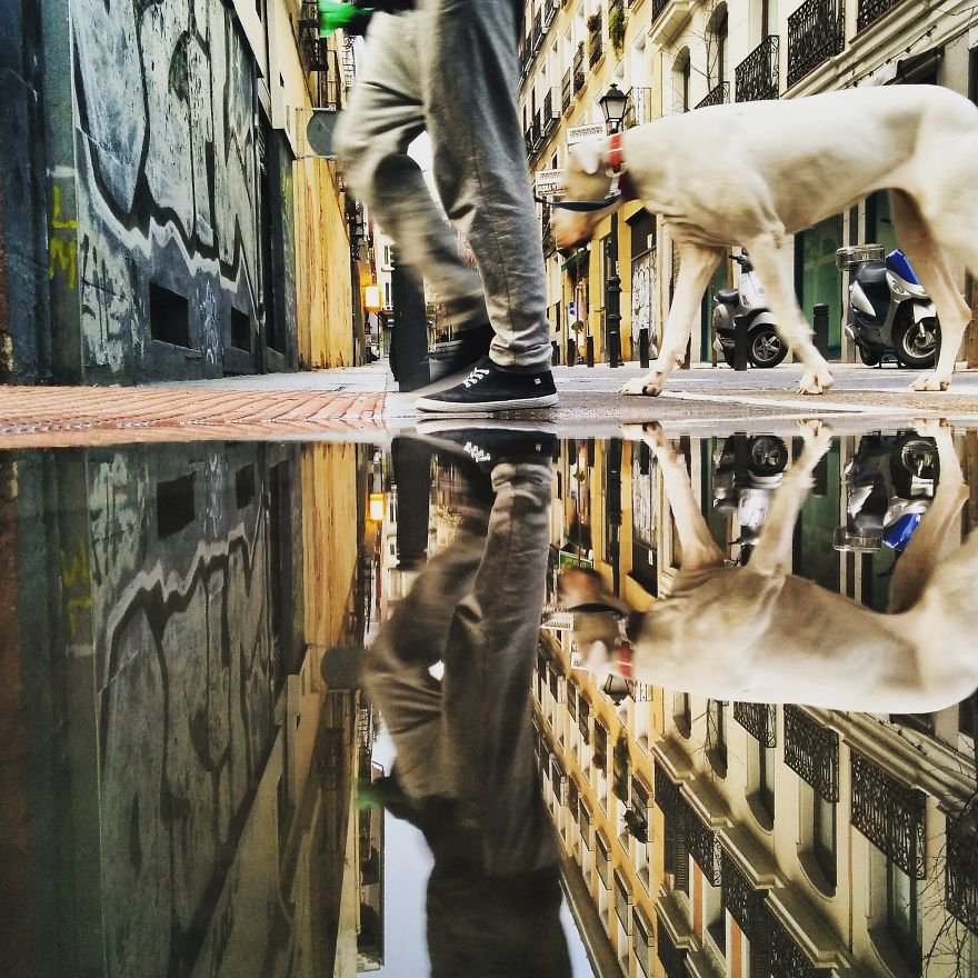 A pocsolyák párhuzamos világa - STYLELIFE - Utazás - fényképészet, fotók, pocsolya, utazás, 