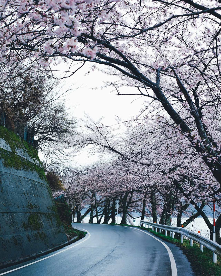 Az egzotikus japán hétköznapok -  -  - fotózás, japán, különleges fotósorozat, Takashi Yasui,