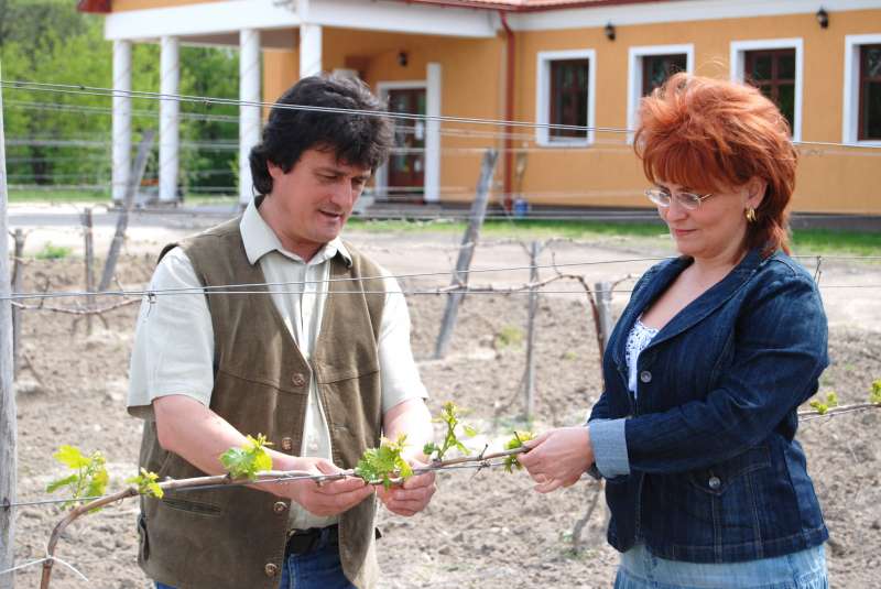 Gál Szőlőbirtok Szigetcsép -  -  - bor, Gál pincészet, Szigetcsép, 