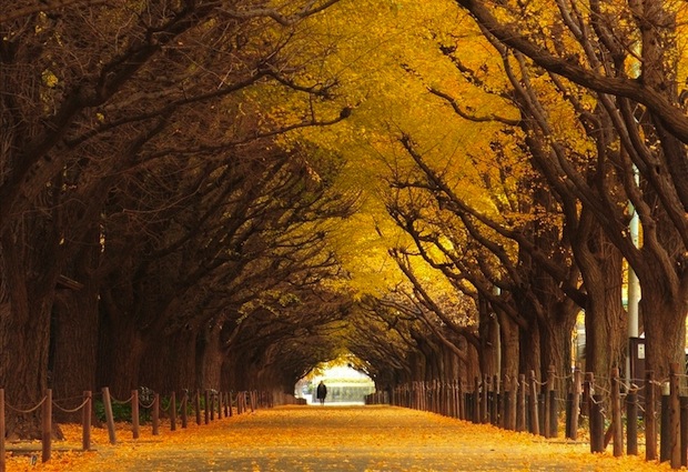 Utak, melyeken egyszer végig kell menned - STYLELIFE - Utazás - nagyvilág, utazás, úti cél, 