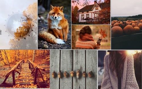 Heti üzenet - Ősz, te szeszélyes, itt vagy újra! -  -  - hétfő, ősz, szerkesztői levél, 