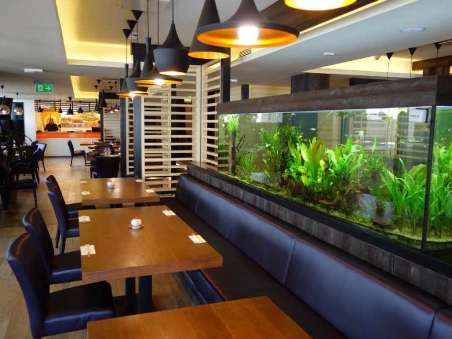 Megkóstoltuk a japánok kedvencét! -  -  - autentikus, étterem, finom, japán, kipróbáltuk, sushi, sushi sei, 