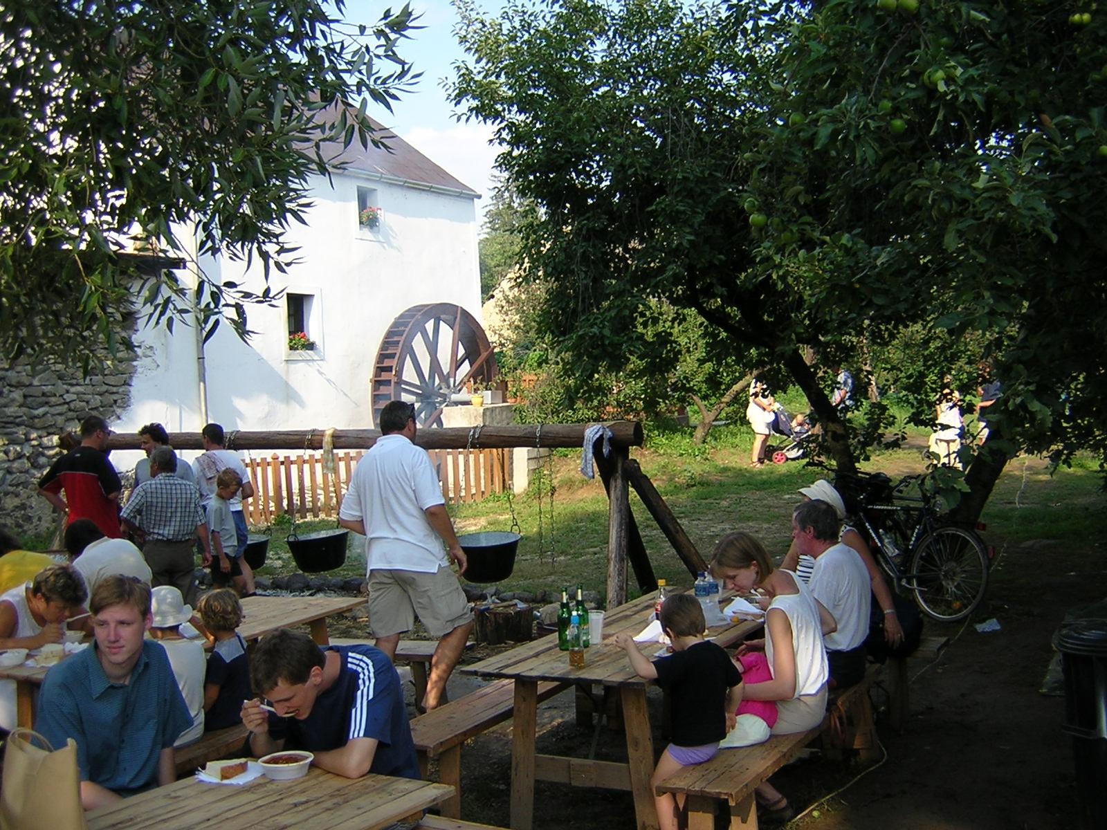 Ismét lesz Művészetek Völgye -  -  - kultúra, Művészetek Völgye, programok, 