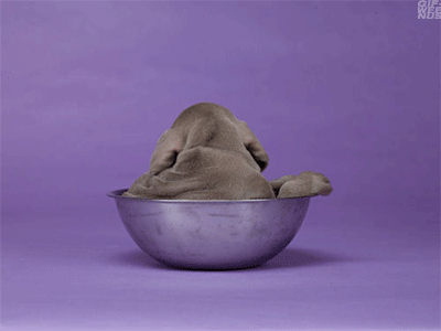 Hétfői gif challenge 11/16 -  -  - challenge, divat, gif, hétfő, stílus, 