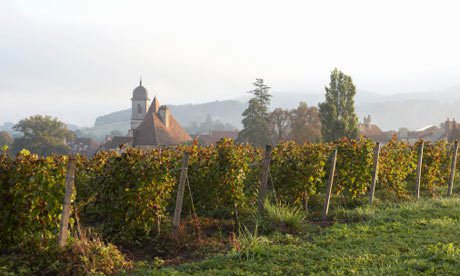 Felfedezetlen borvidékek -  -  - bor, borvidékek, érdekességek, 