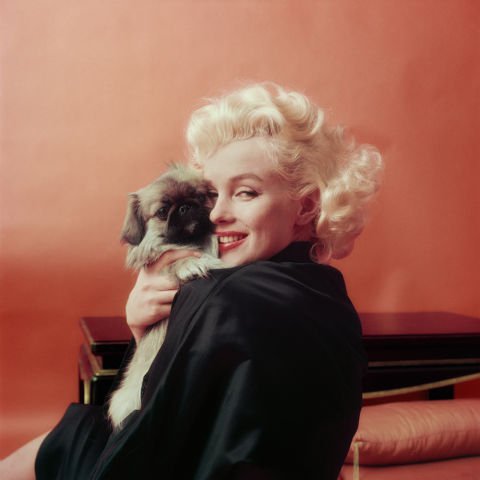 Marilyn Monroe legszebb, eddig aligha ismert fotói! - ÉLETÉRZÉS -  - divat, fotográfia, kiállítás, kultúra, marilyn monroe, stílus, 
