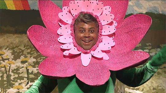 Coachella gif challenge -  -  - gif challenge, humor, molnár dorka, 
