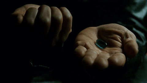 Coachella gif challenge -  -  - gif challenge, humor, molnár dorka, 