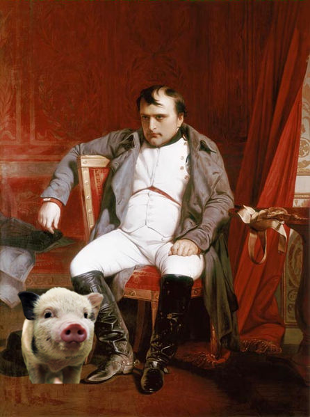 7 meghökkentő európai törvény -  -  - érdekességek, európa, európa nap, 