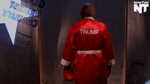 Hétfői gif challenge 06/06 -  -  - gif challenge, hétfő, humor, 