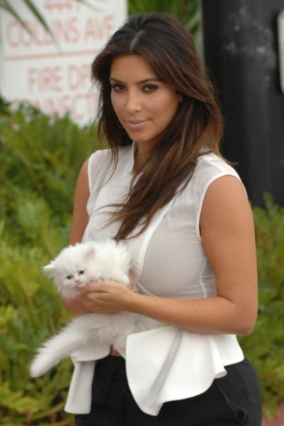 Hírességek, akik két fotó után túladtak a kisállataikon -  -  - házi kedvenc, kisállat, sztárok, 