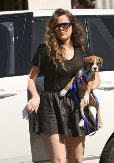 Hírességek, akik két fotó után túladtak a kisállataikon -  -  - házi kedvenc, kisállat, sztárok, 