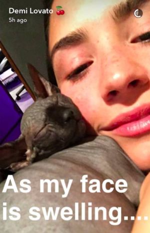 Hírességek, akik két fotó után túladtak a kisállataikon -  -  - házi kedvenc, kisállat, sztárok, 