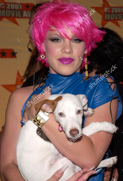 Hírességek, akik két fotó után túladtak a kisállataikon -  -  - házi kedvenc, kisállat, sztárok, 